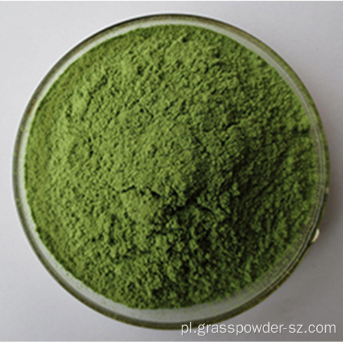 Organiczny sok z lucerny zielony proszek